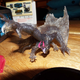 Illustration for article titled Monster Hunter 4 Ultimate CE: Unboxing!!